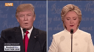 GIF by Alex Bedder