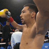 Fight Win GIF by Top Rank Boxing