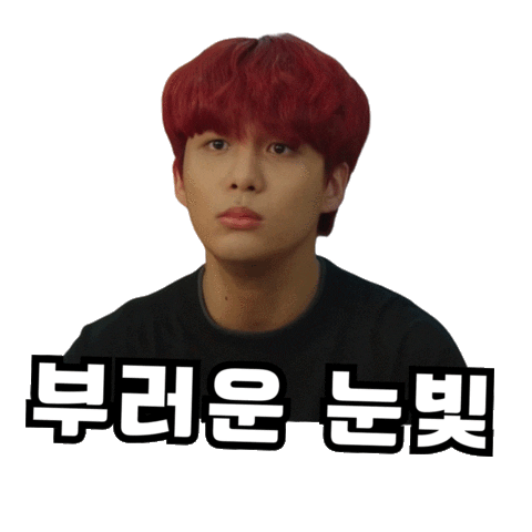 Idol Ateez Sticker