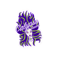 Hot Sauce Calypso Sticker by Zesti