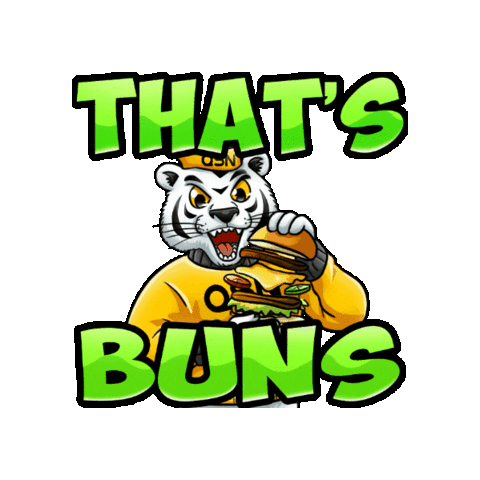 QSNgg giphygifmaker gaming tiger qsn Sticker