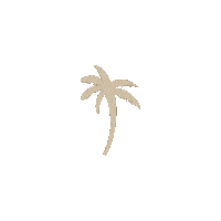 CopacabanaKalsdorf beach lake palme summerfeeling Sticker