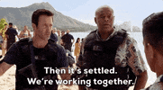 Steve Mcgarrett Tani Rey GIF by CBS