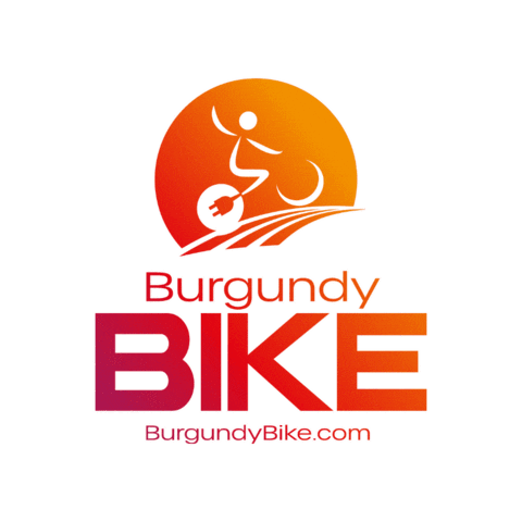 burgundybike giphygifmaker bike electric bike bike rental Sticker