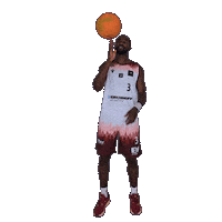 Basketball Spin Sticker by Iserlohn Kangaroos