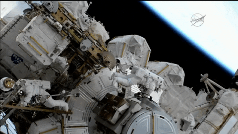 space astronaut GIF by NASA