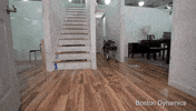 GIF by The Telegraph