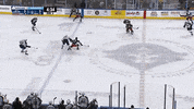 GIF by Milwaukee Admirals