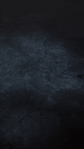 Sololeveling GIF by Youtooz