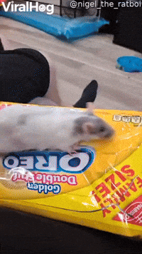 Tiny Hands Perfect for Cookie Crimes