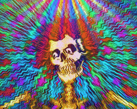 GIF by Steve Konklin