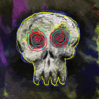 ExWhyZed_Degen glitch crypto nft skull GIF