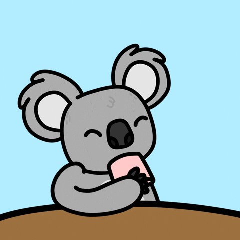 KoalaDay surprised koala what did you say koala day GIF