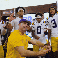 Lsu Football Celebration GIF by LSU Tigers