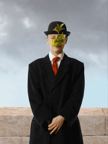 WitloofCollective giphyupload humour balls magritte GIF