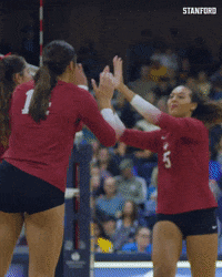 High Five Volleyball GIF by Stanford Athletics