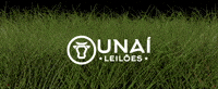 Tag Unai GIF by Unaí Leilões