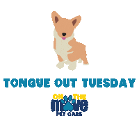 Cat Love Sticker by OTM Pet Care