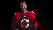 Hockey Echl GIF by Cincinnati Cyclones