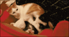 GIF by Demic