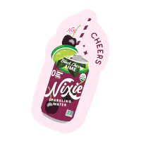 Cheers Shine Sticker by Nixie Sparkling Water