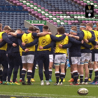 Scottish Rugby GIF by Guinness Six Nations