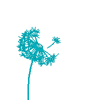 CaspaCreative flower wish make a wish dandelion Sticker