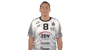 handballbundesligafrauen handball hbf handball bundesliga frauen zwickau Sticker