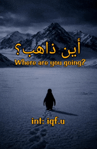 Where Are You Going Penguin GIF