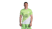 In Love Football Sticker by VfL Wolfsburg