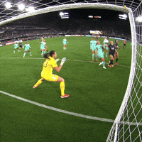Save Kansas City GIF by National Women's Soccer League