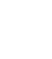 alina923 text plant alina текст Sticker