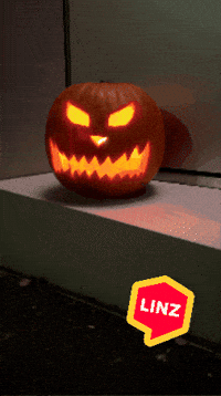 Halloween Wow GIF by Linz News
