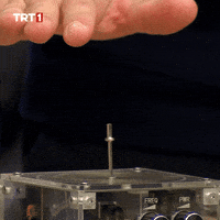 Electric Shock Love GIF by TRT