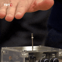 Electric Shock Love GIF by TRT
