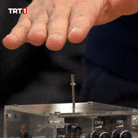 Electric Shock Love GIF by TRT