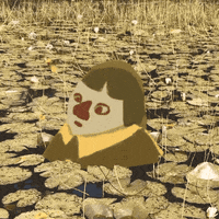 torkeltiren what wtf lost clueless GIF