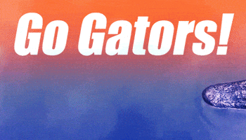 Water Swim GIF by University of Florida