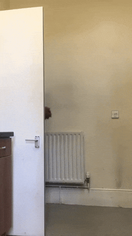 Get Busy Dancing GIF