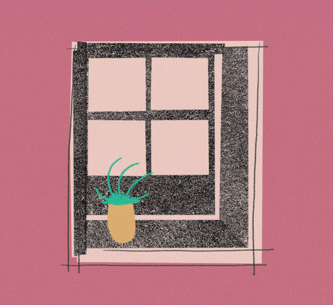 antoniovicentini giphyupload plant nostalgia feelings GIF