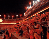 Football College GIF by Tennessee Athletics