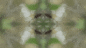 Art Love GIF by jorgemariozuleta