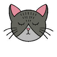 Cat Coco Sticker