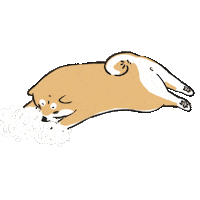 柴犬 Wty Sticker