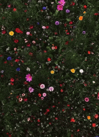 Feel Good Summer GIF