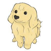 stxty dog txt golden retriever hueningkai Sticker