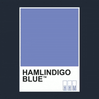 Better Call Saul Indigo GIF