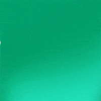 GIF by FIBERBLAZE