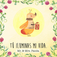 Aniversario Brillo GIF by Mr. & Mrs. Panda