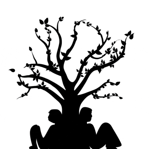 brunasemedo giphygifmaker giphystrobetesting GIF